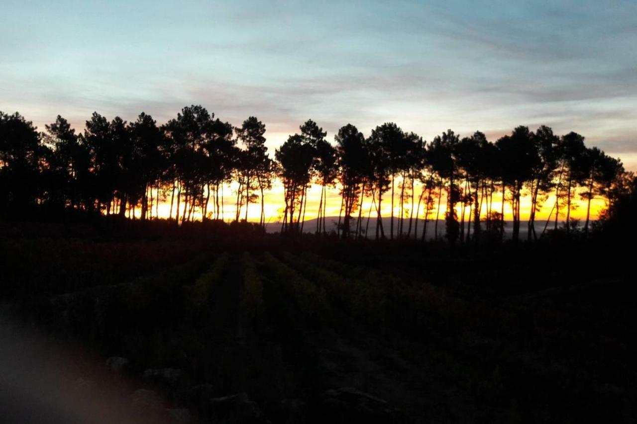 Domaine Des Hauts De Vernon Vernon  Kültér fotó