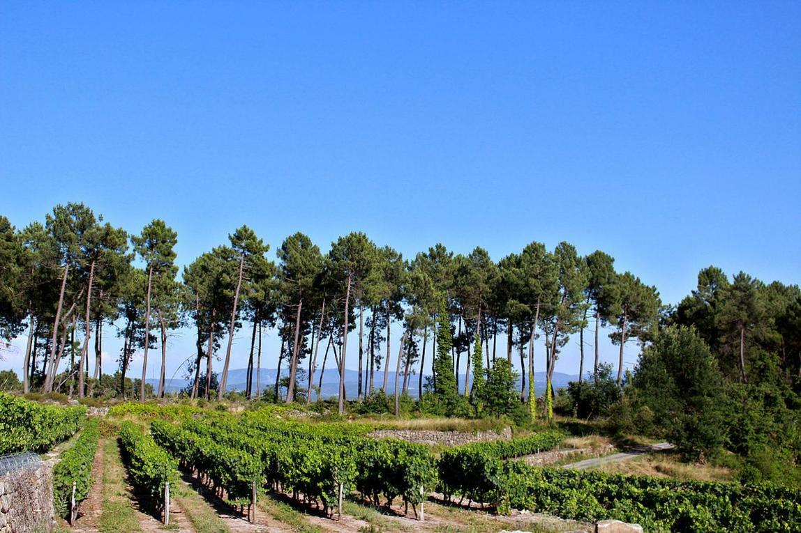 Domaine Des Hauts De Vernon Vernon  Kültér fotó